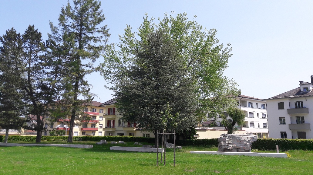 Parc Loretan, Bulle